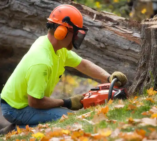 tree services Kearney